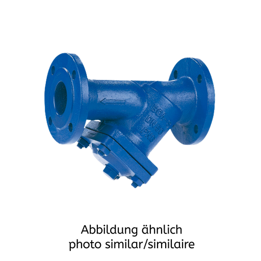 BOA-S mit Einfachsieb Gehäuse EN-GJL-250, PN 6, DN125,