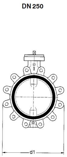 BOAX-SF PN16 DN250 T43g6gXU MR25