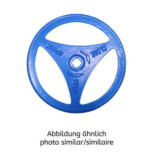 Ersatz-Handrad 250X19 VK22, D Guss